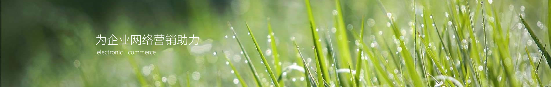 ݸ˳е޹˾